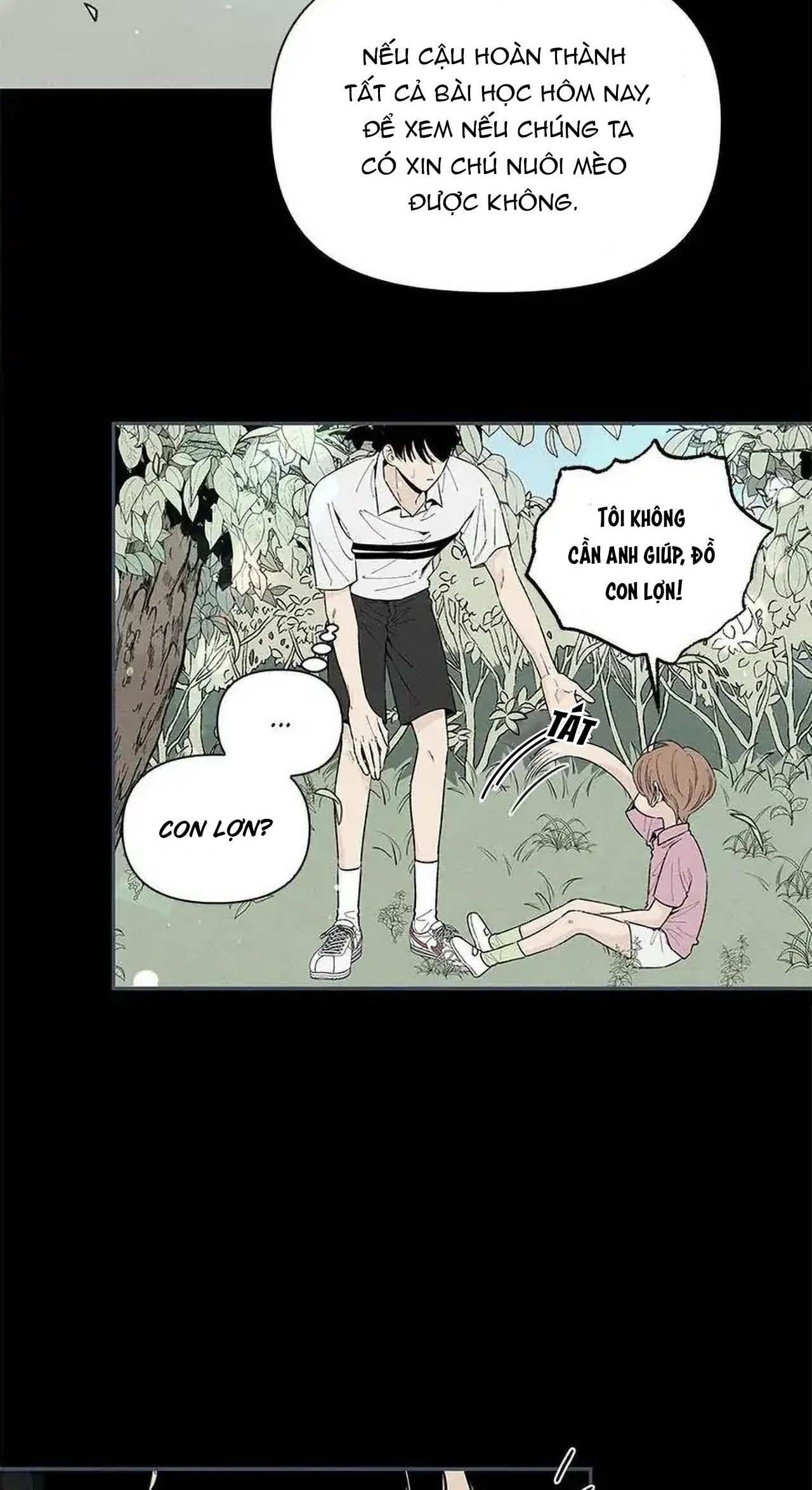 bona sort chapter 53 13