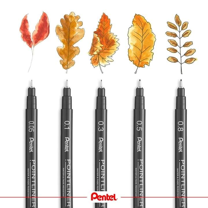 Bút Fineliner đi nét Pentel Pointliner Water &amp; Fade Resistant - 0.8mm - Màu đen (Black)