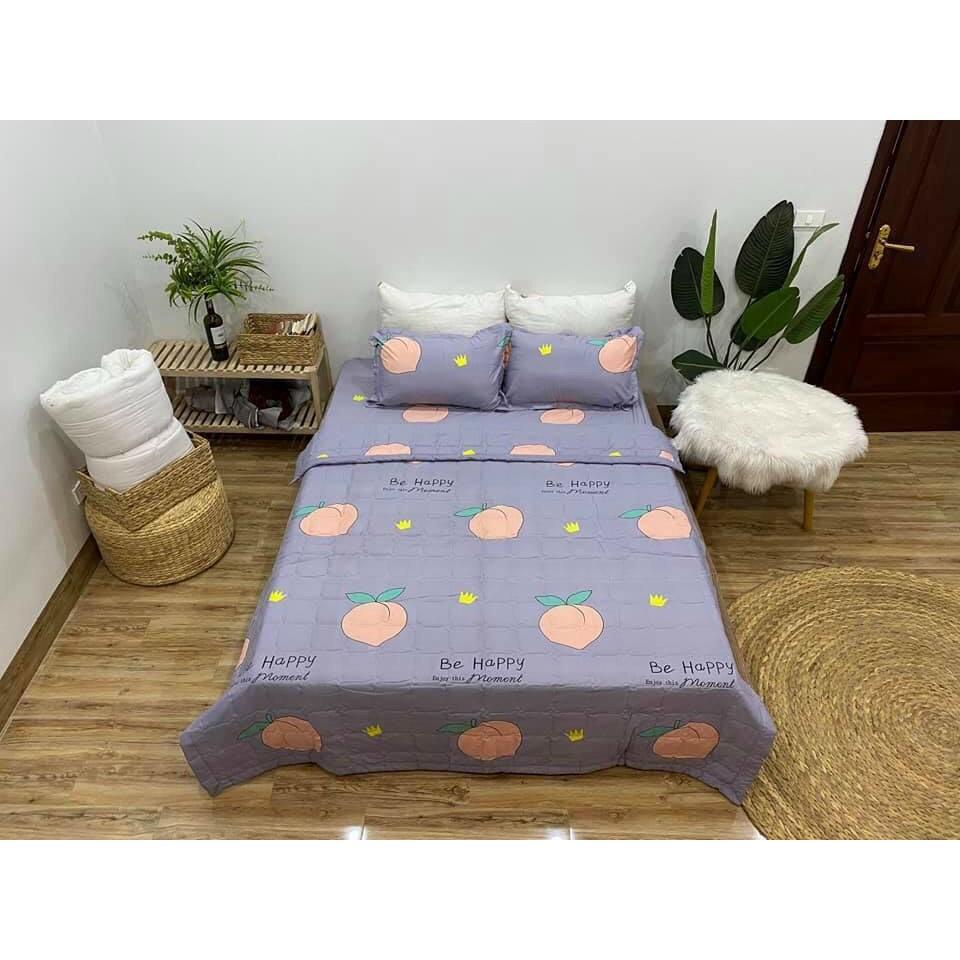Trọn bộ ga gối chăn hè Cotton Poly mềm mại, thoáng mát, thấm hút mồ hôi tốt