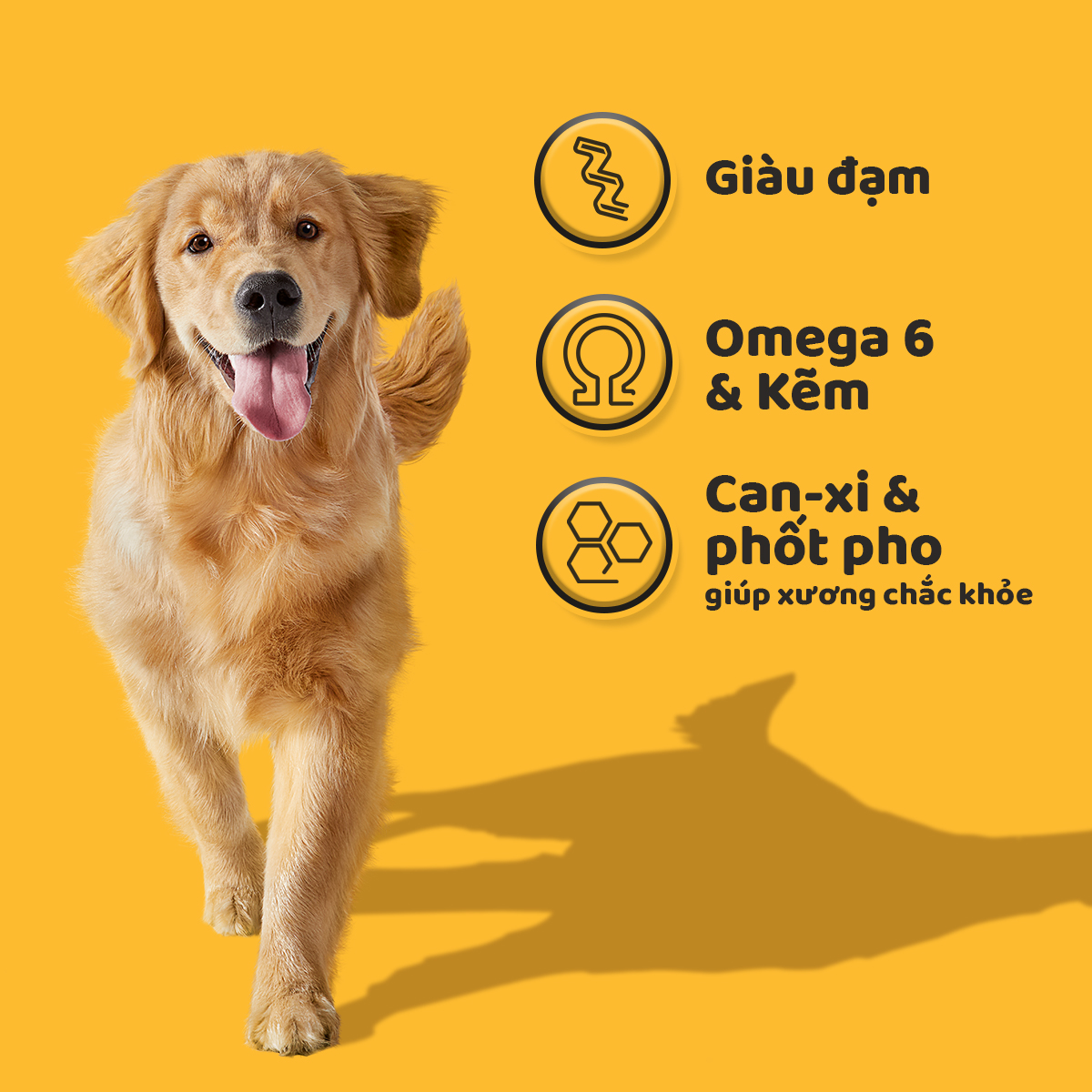 Thức Ăn Cho Chó Trưởng Thành Pedigree Adult 1+ Years Vị Gà, Rau Củ 1.5kg/Túi