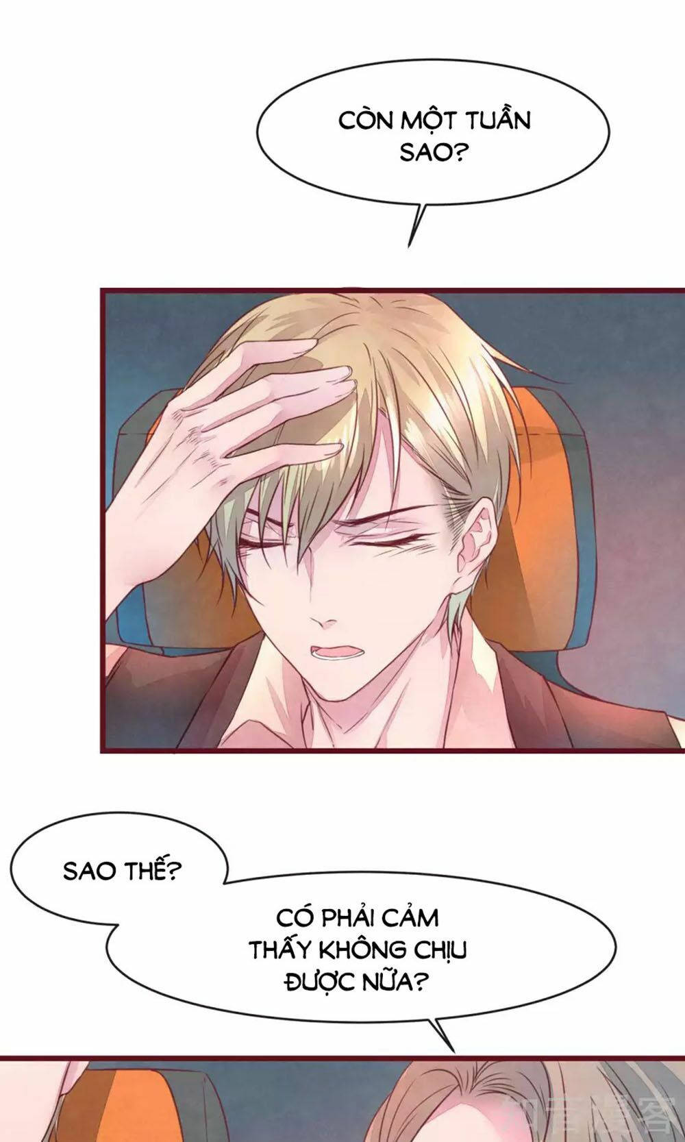 đào tạo nuôi dưỡng bạn trai mèo chapter 28 19