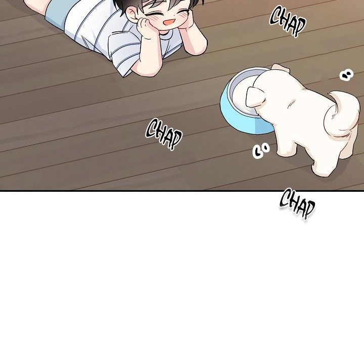 xác suất tình yêu chapter 38 49