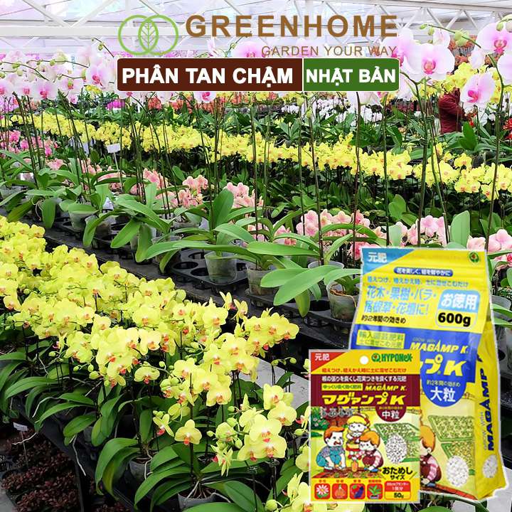 Phân tan chậm Nhật, Hyponex, Magamp K 640-6-15, giúp rễ khoẻ, hoa nhiều, bông to, đậu quả tốt |Greenhome