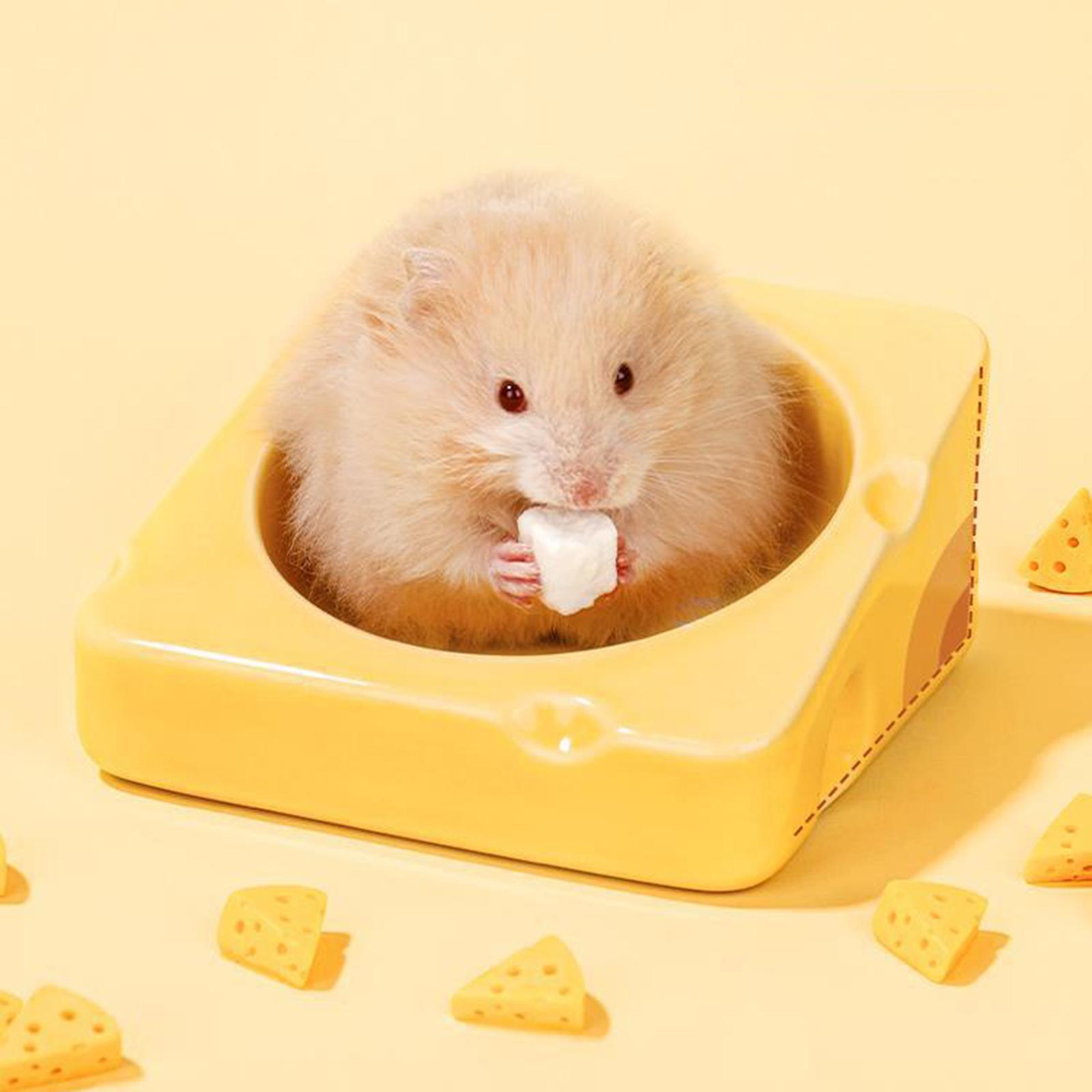 Portable Hamster Food Bowl Stable Durable Ceramic Feeding Bowl for Chinchilla Gerbil Small Animals