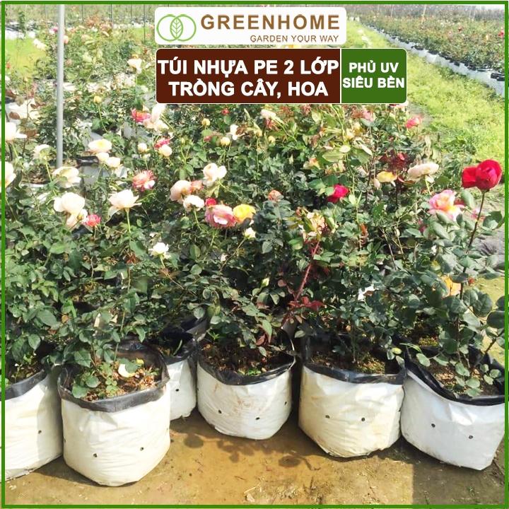 Bộ 10 Túi PE trồng cây, trồng rau, trồng hoa 20x40cm, 2 lớp, chống UV tiện lợi, độ bền 1,5 năm