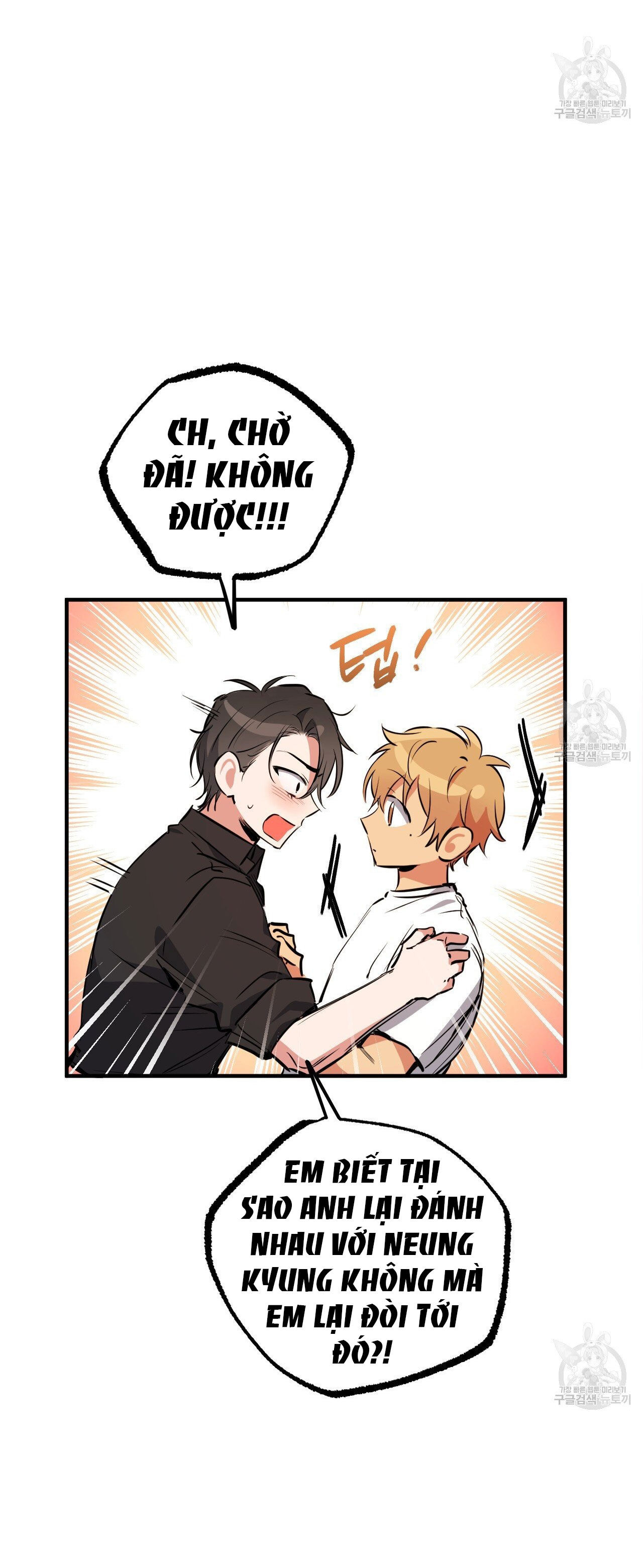 những chú thỏ của hapypy chapter 61.1 3