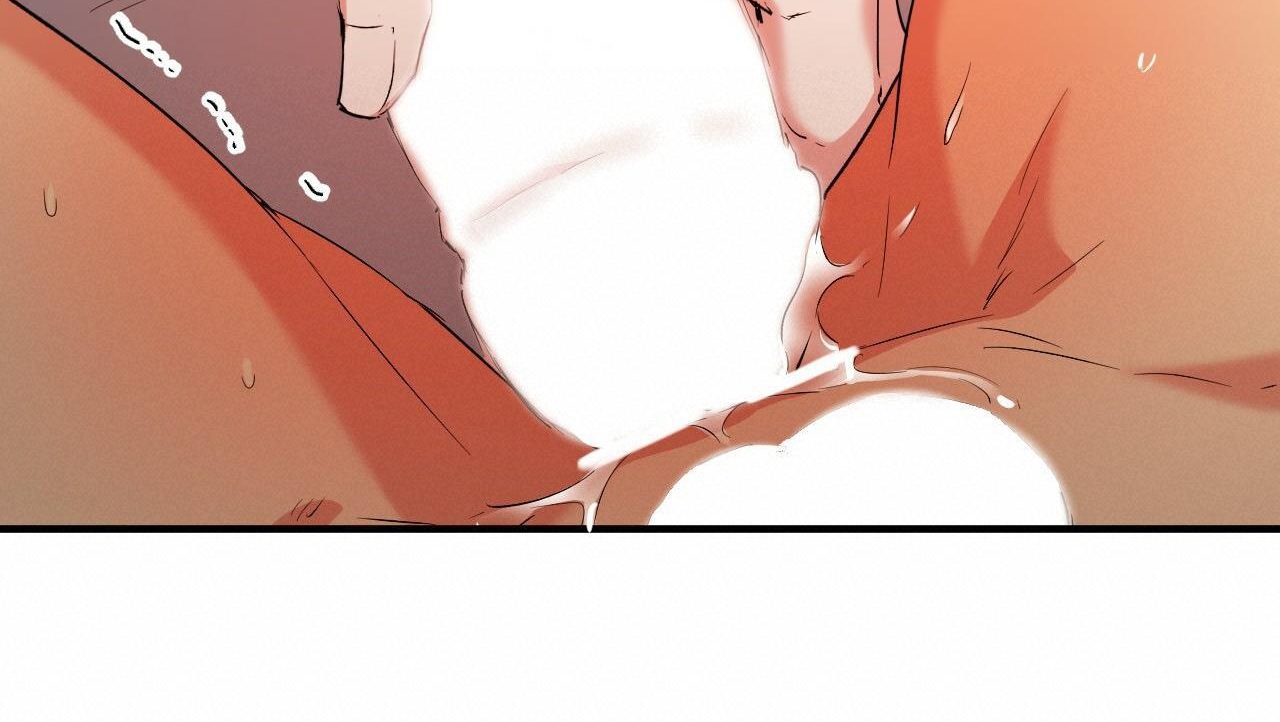 đàn thỏ của habibi chapter 54 154