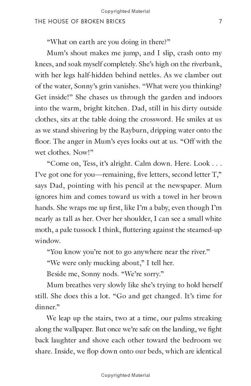 Sách ngoại văn: The House Of Broken Bricks