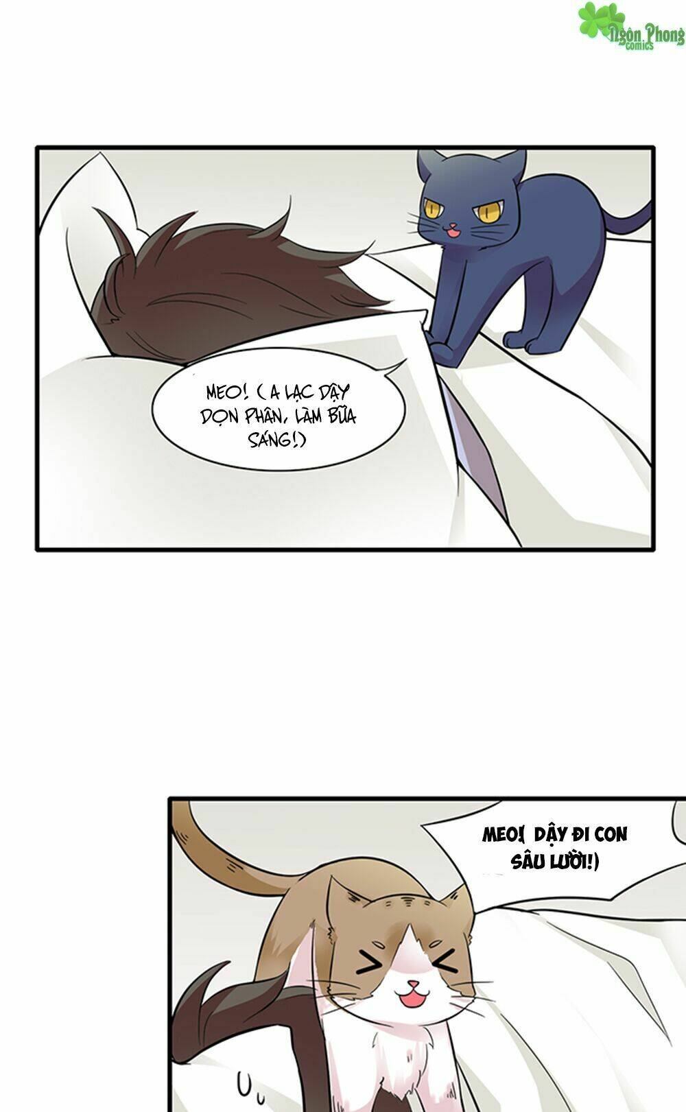 hai chú mèo totem chapter 10 8