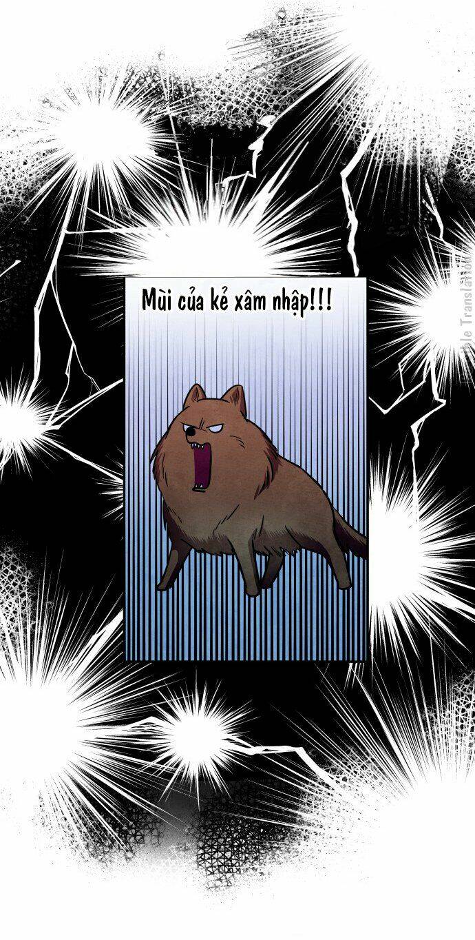 tai sói và mũ đỏ chapter 31 12