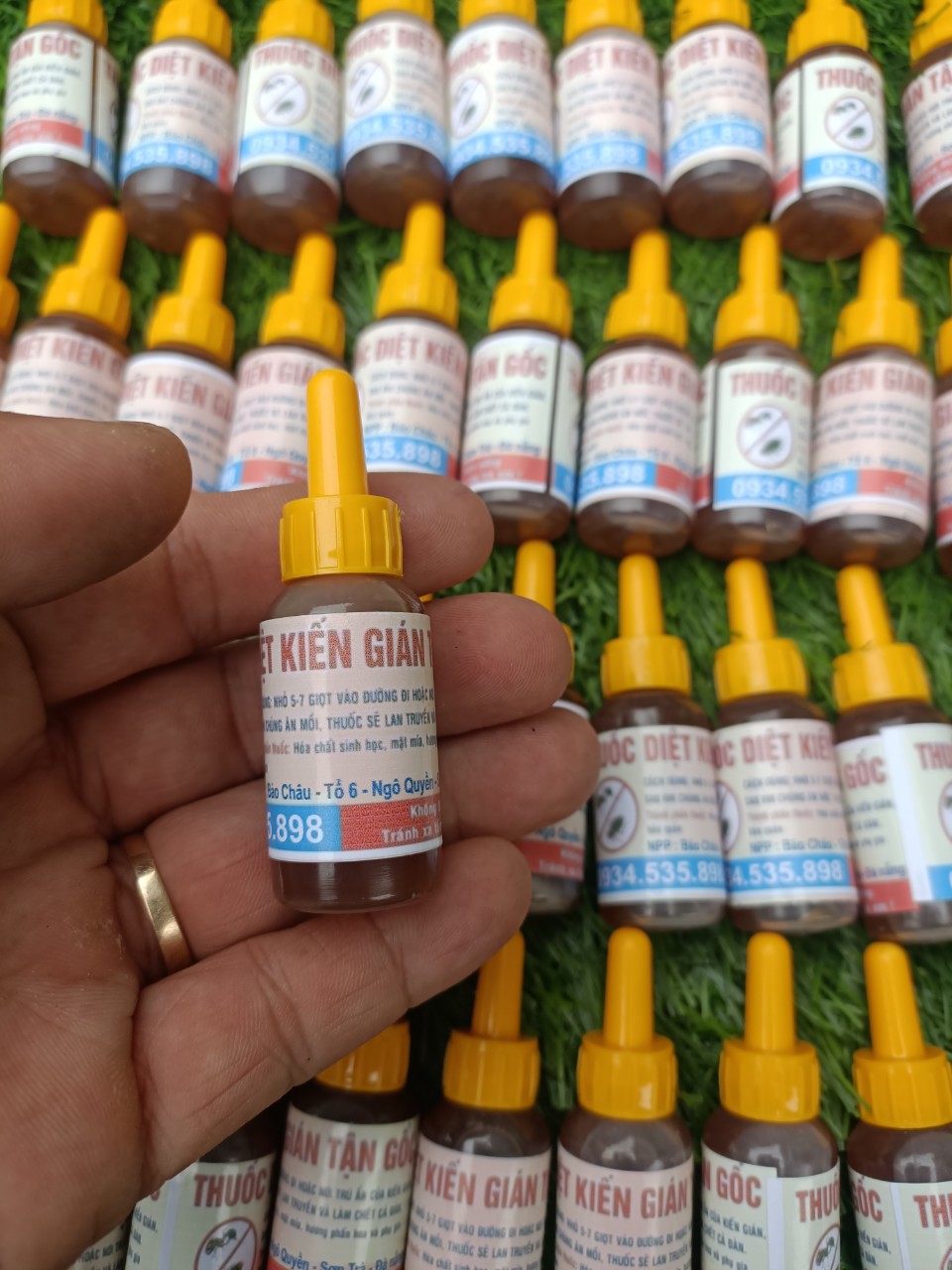 Thuốc diệt kiến gián sinh học tận gốc