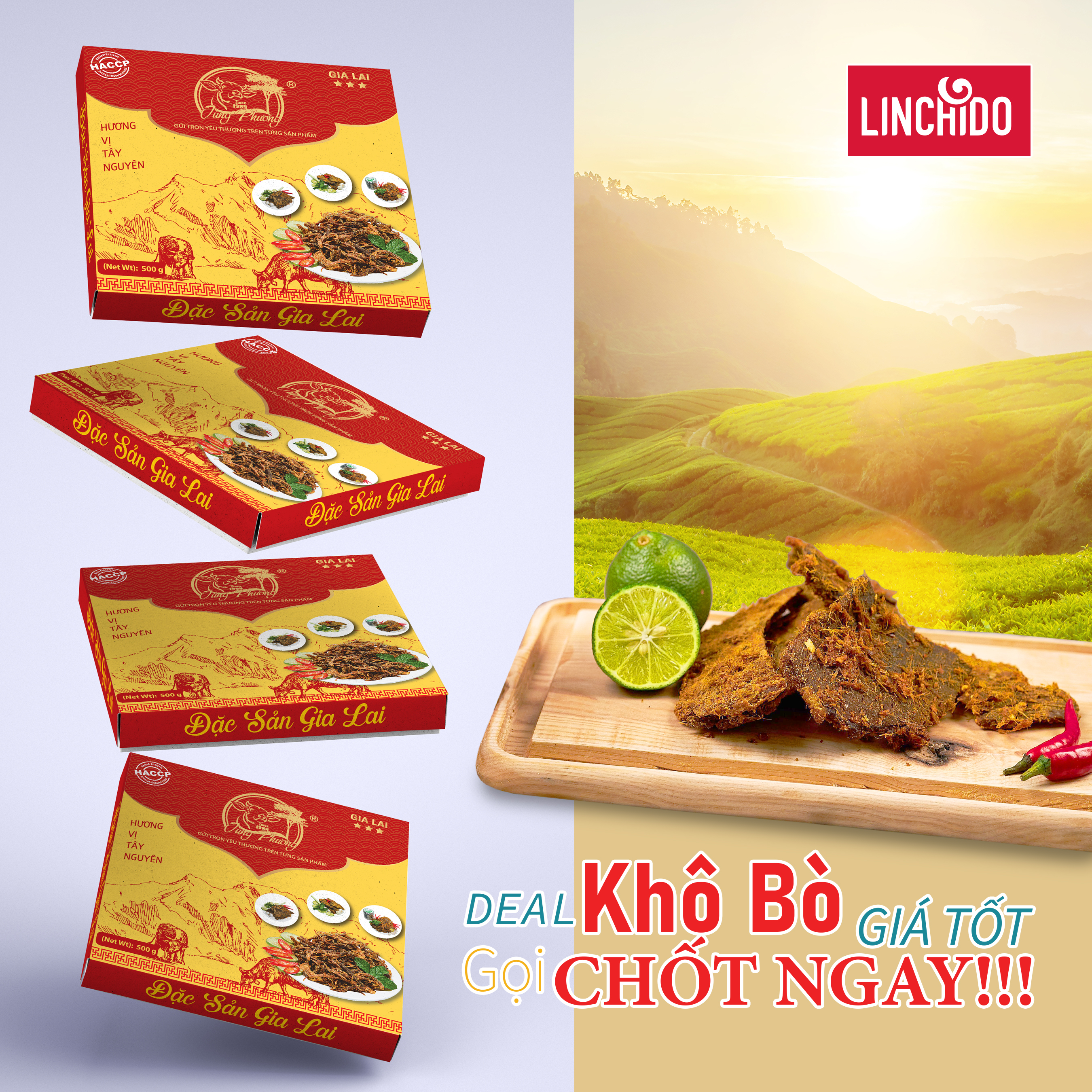 Bò khô miếng _ Tùng Phương Du Ký _ Loại 500 Gram ( HỘP )