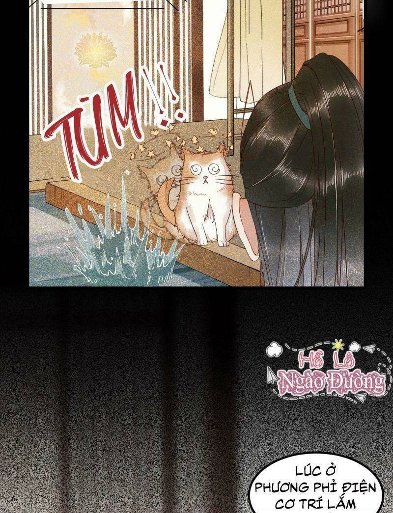 sát thủ vương phi không dễ chọc chapter 40 51