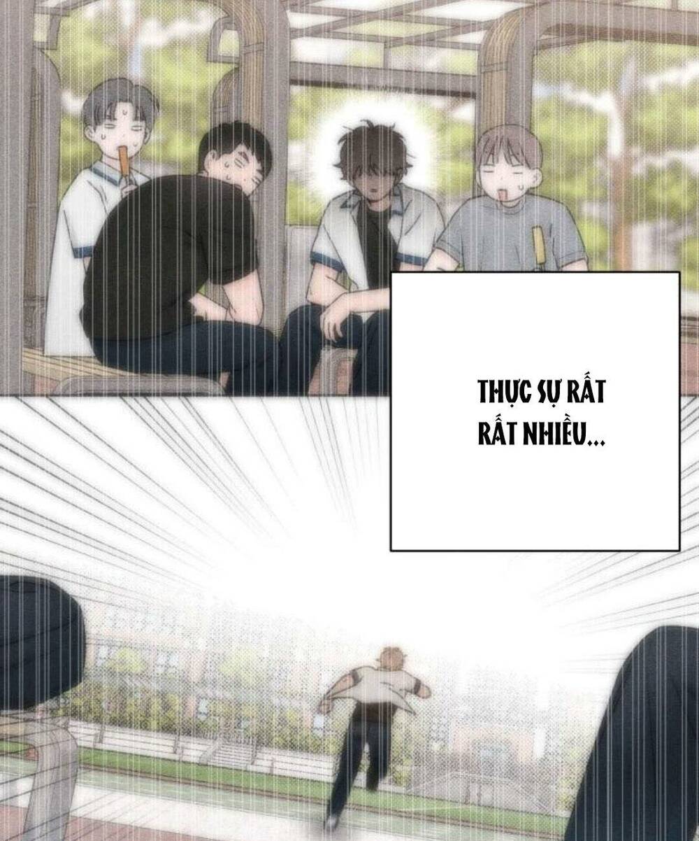 Bí Mật Thanh Xuân chapter 58 16