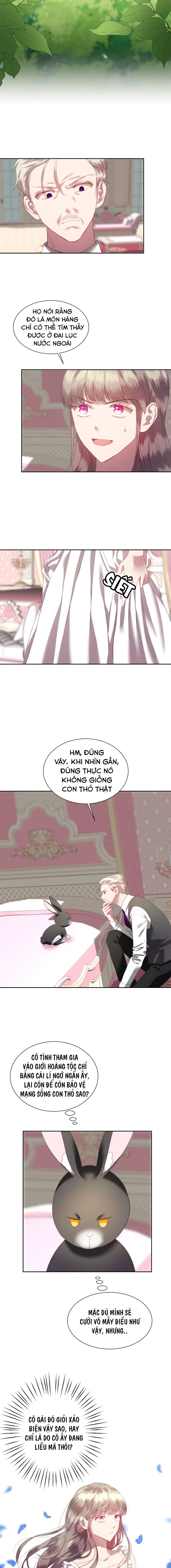 công chúa giả mạo và chú thỏ con chapter 3 3