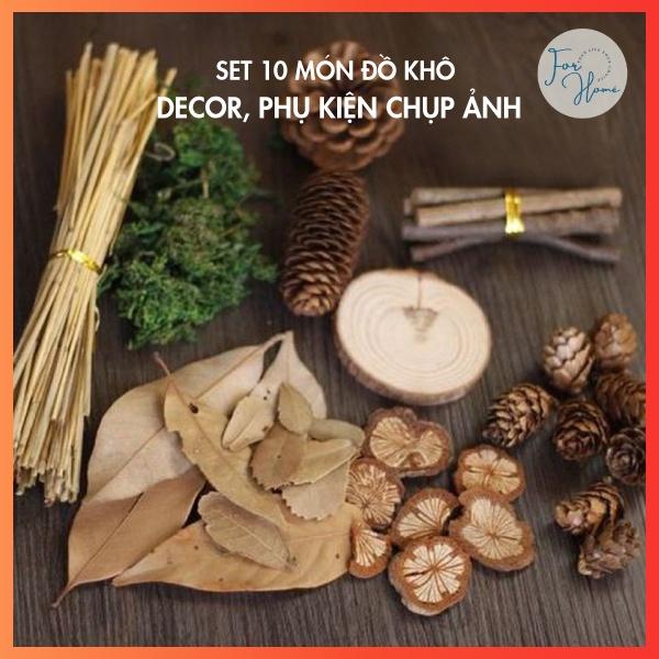 Set 10 Món Đồ Khô Decor, Phụ Kiện Trang Trí Chụp Ảnh Sản Phẩm Vintage