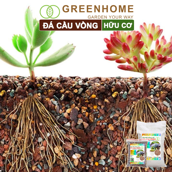 Đá cầu vồng, kích rễ, đậm màu, thoát nước tốt, chuyên xương rồng, sen, bonsai Greenhome