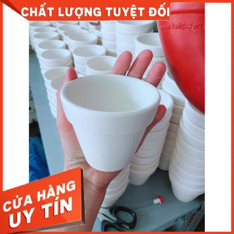 Chậu đất nung trồng cây Nhiều Người Mua