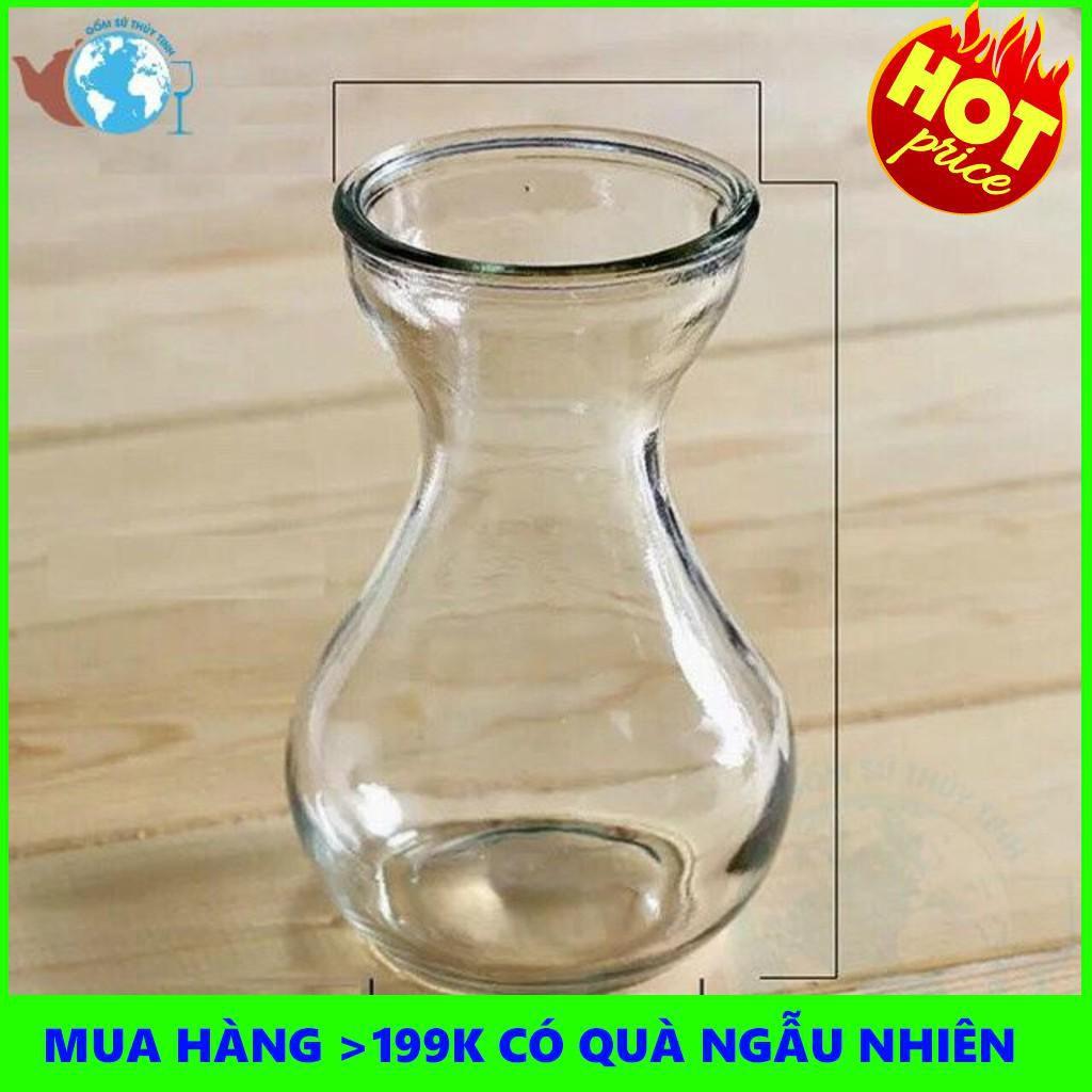 Bình Bông Lọ Hoa Thủy Tinh Eo Nhỏ