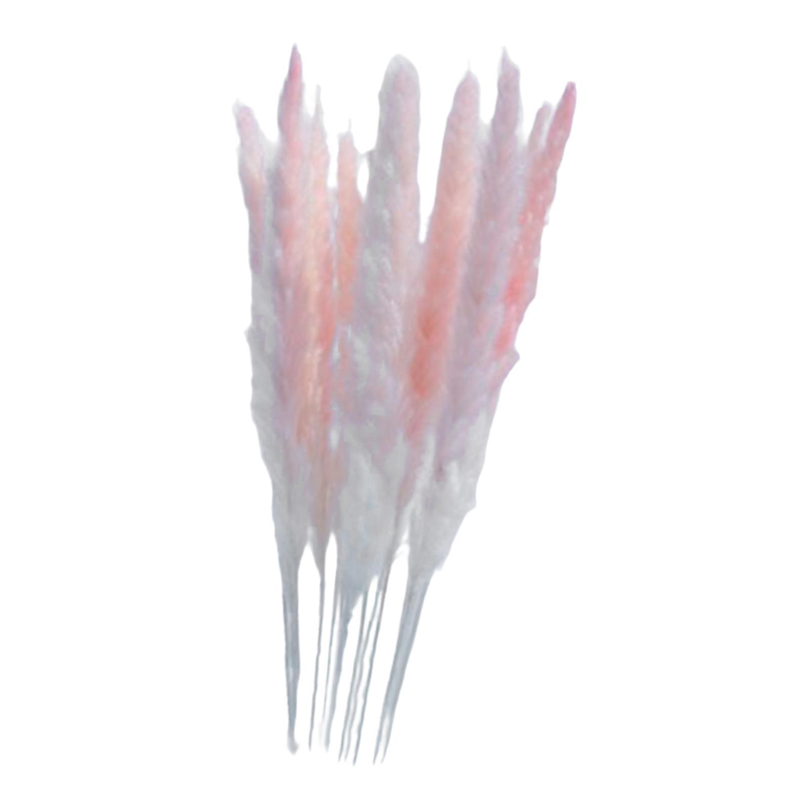 Natural Dried Pampas Grass Boho Home Decor Flower Arrangement Dried Reed Phragmites Decoration