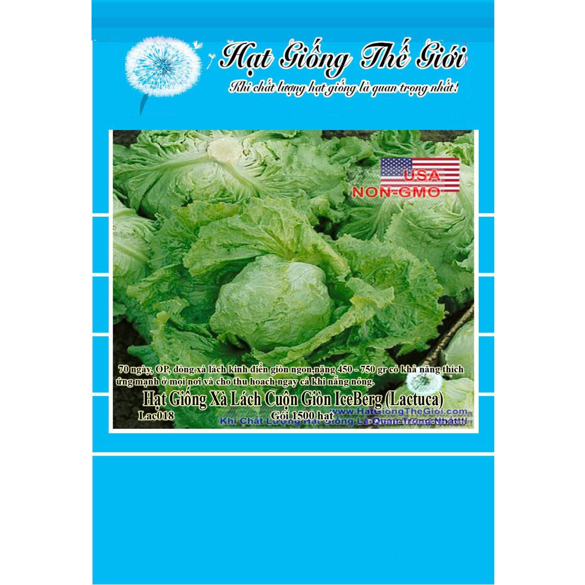 1500h Hạt Giống Rau Xà Lách - Cuộn Giòn IceBerg (Lactuca sativa)