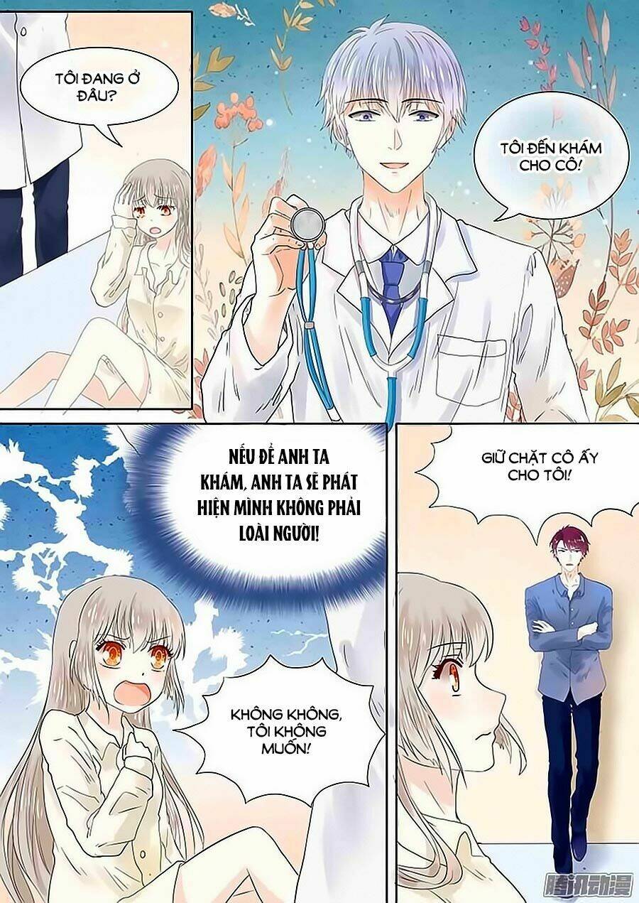 luyến ái sinh tử bộ chapter 6 8