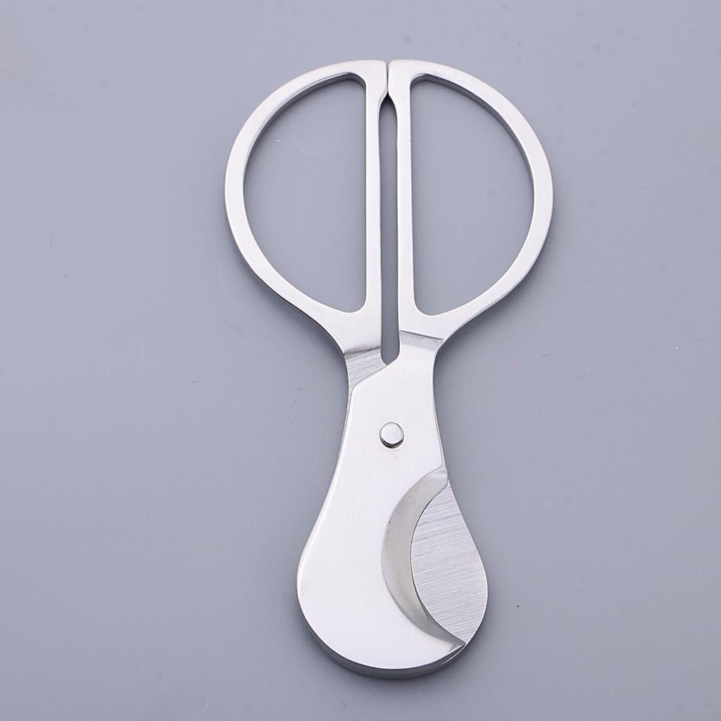 Stainless Steel       Scissors Tools