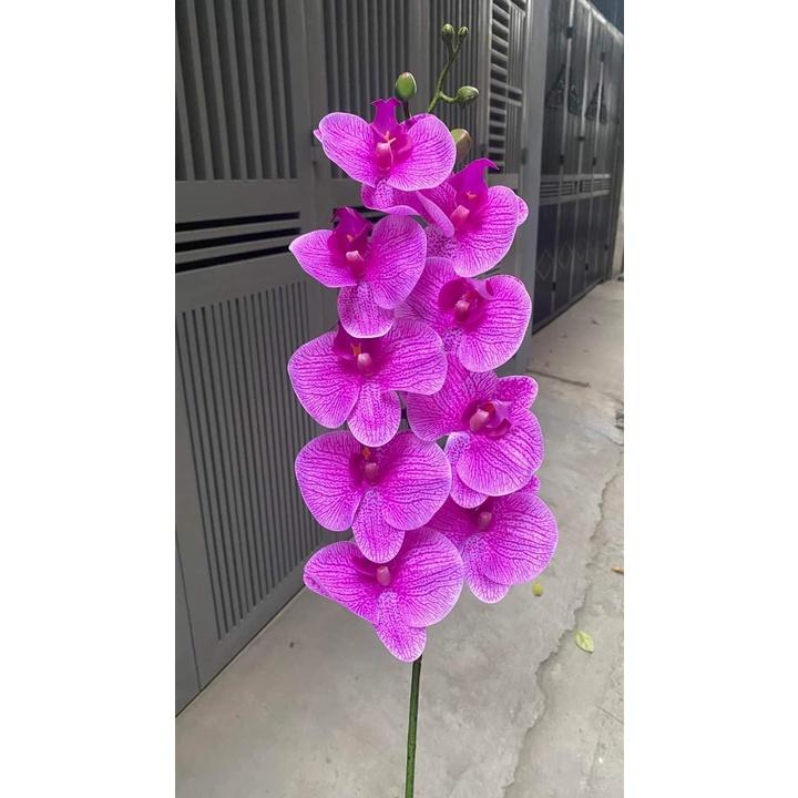 Hoa lan hồ điệp chất liệu cao su loại 7 bông- 9 bông cao cấp- Hoa giả