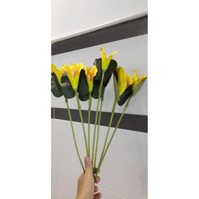 Cụm hoa loa kèn
