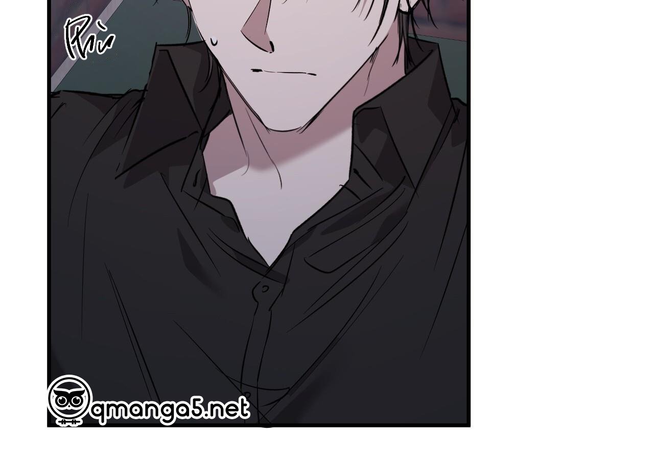 những chú thỏ của hapypy chapter 60 70