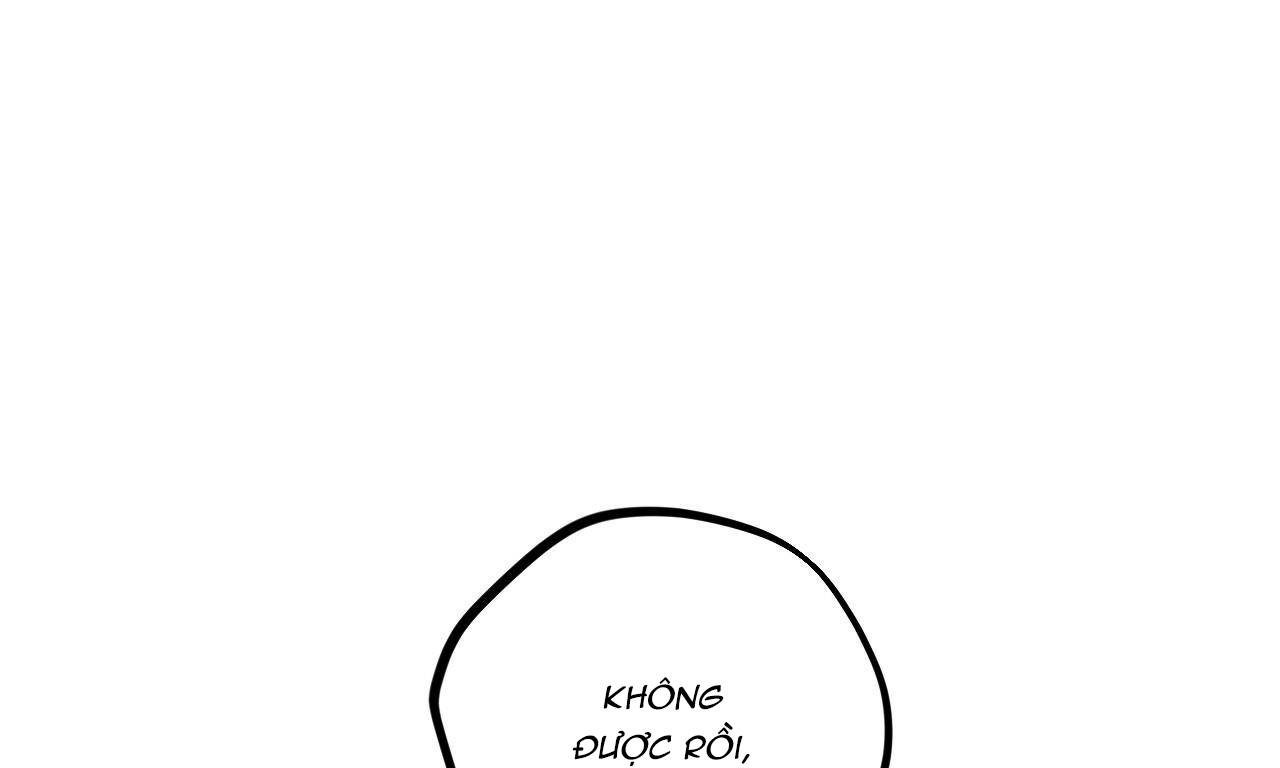 đàn thỏ của habibi chapter 39 94