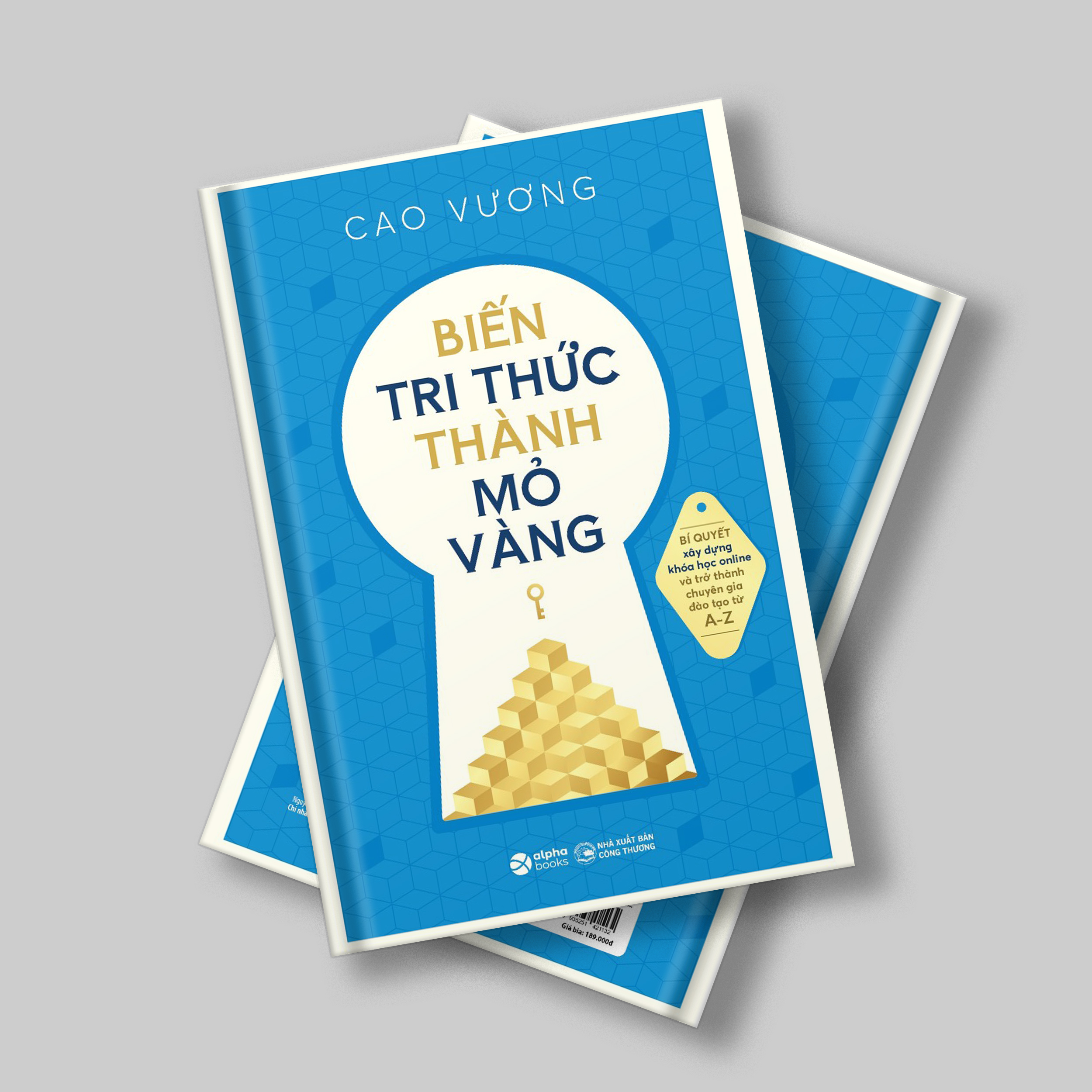 Sách Biến Tri Thức Thành Mỏ Vàng - Bí Quyết Xây Dựng Khóa Học online và trở thành chuyên gia đào tạo từ A-Z (Cao Vương)