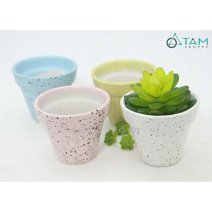 Chậu gốm mini trồng cây để bàn số 61