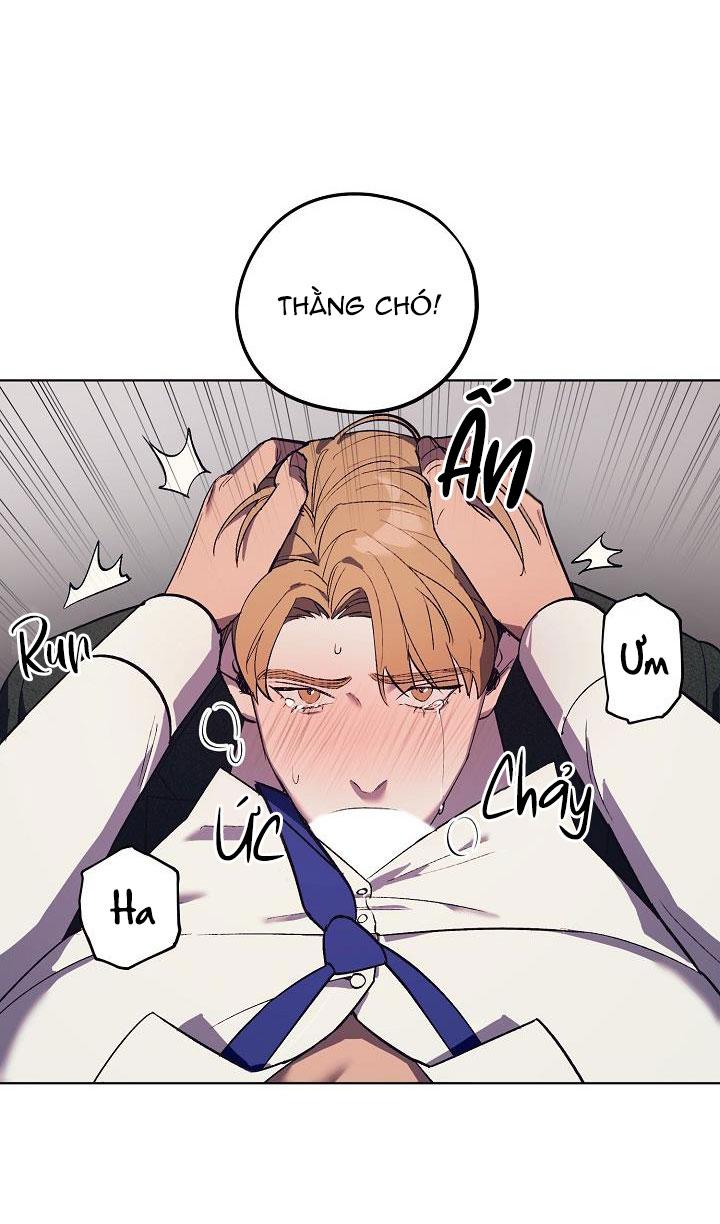 làm dâu nhà tài phiệt họ kang chapter 16 30