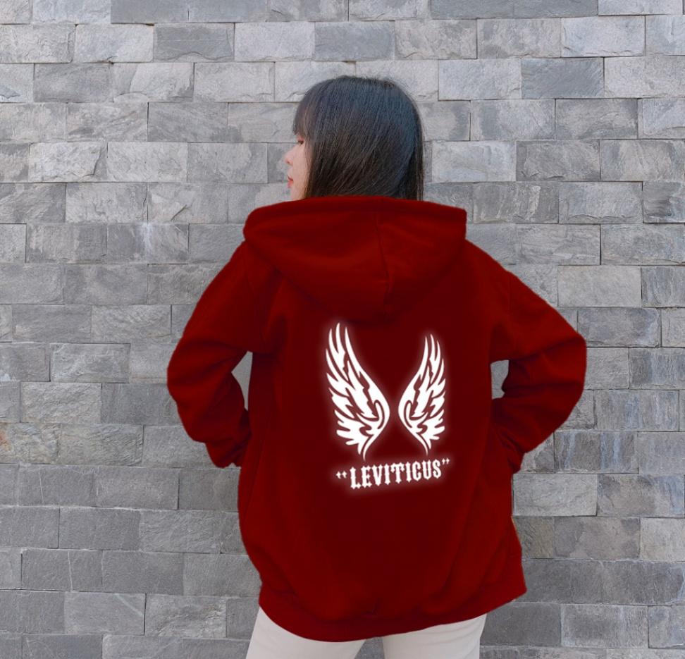 ÁO KHOÁC NỈ HOODIE PHẢN QUANG ĐÔI CÁNH