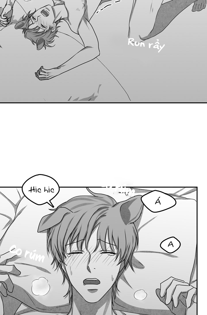 khi cún biết yêu chapter 25 40