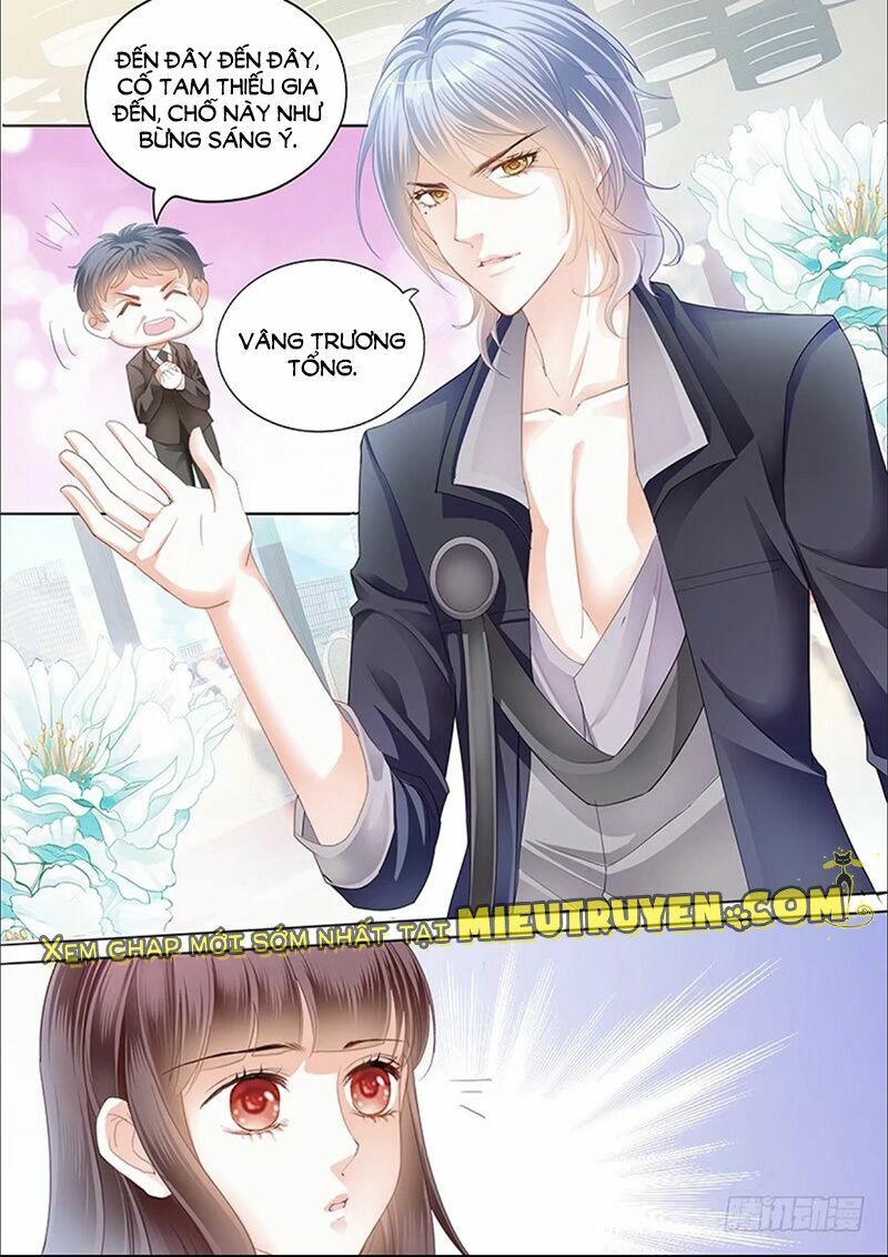 thiểm hôn kiều thê chapter 142 7