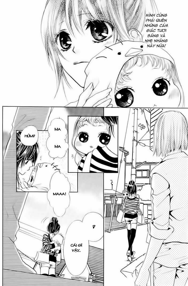 momo lover chapter 5 11