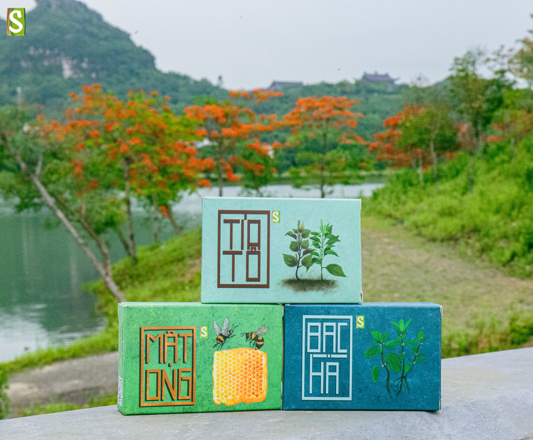 SINH DƯỢC SET 10 xà bông thiên nhiên đủ 10 vị, xà phòng handmade Soap 100gr Organic hữu cơ thảo mộc tự nhiên sạch khuẩn ngăn ngừa mụn lưng, mặt, hôi nách viêm nang lông