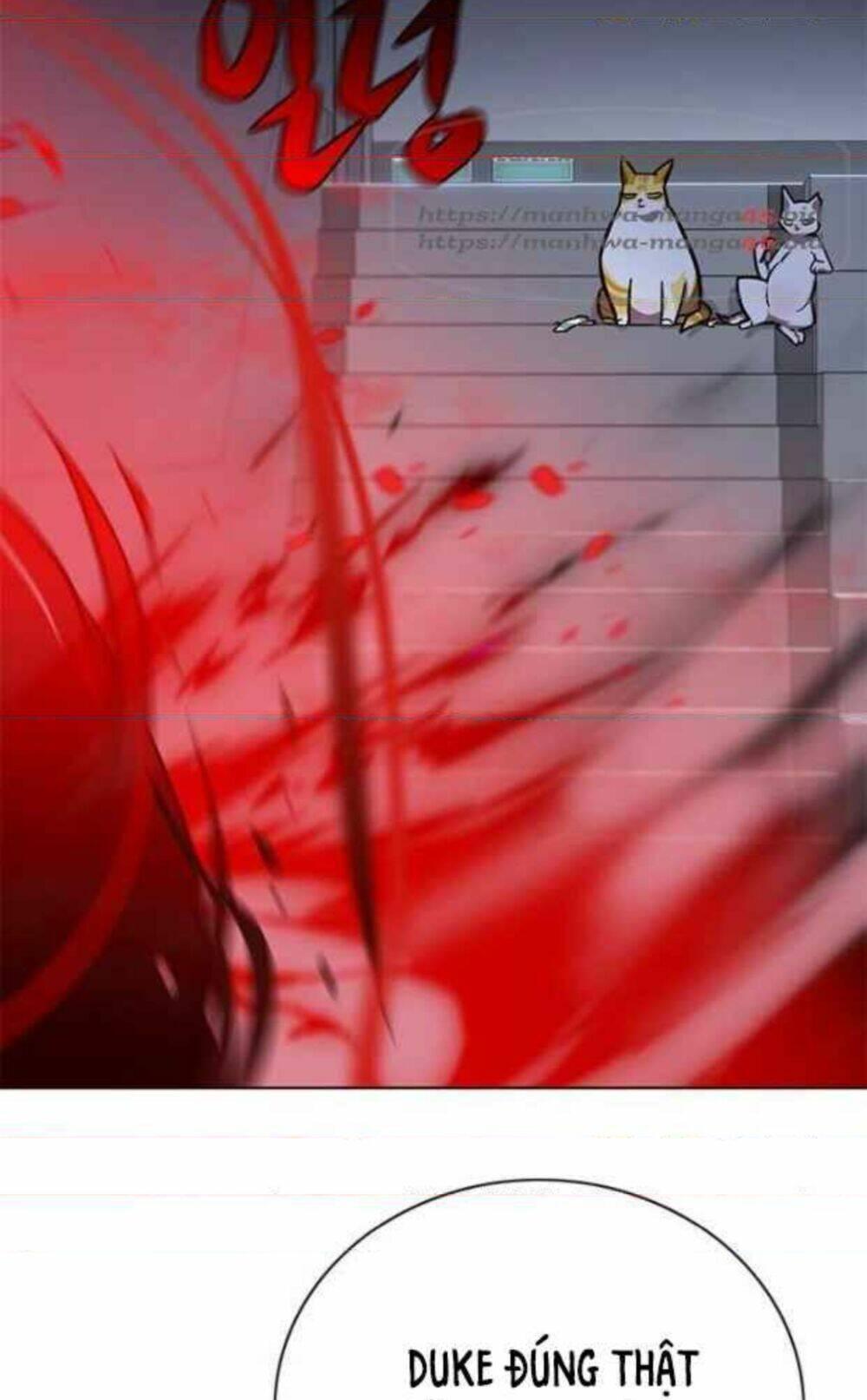biến thân thành mèo chapter 154 36