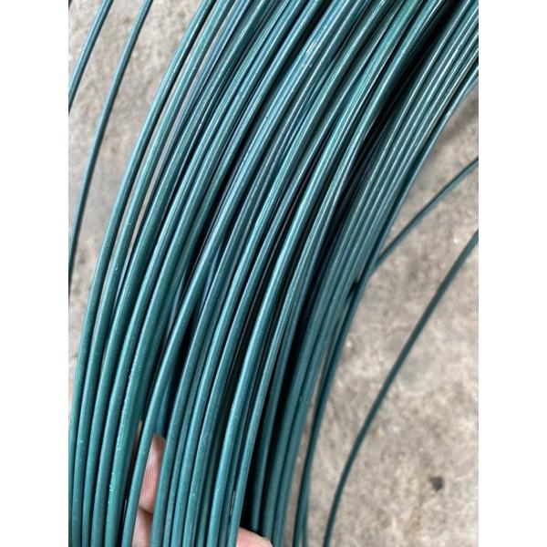 5 Mét dây thép bọc nhựa không rỉ màu xanh loại 2,5 li