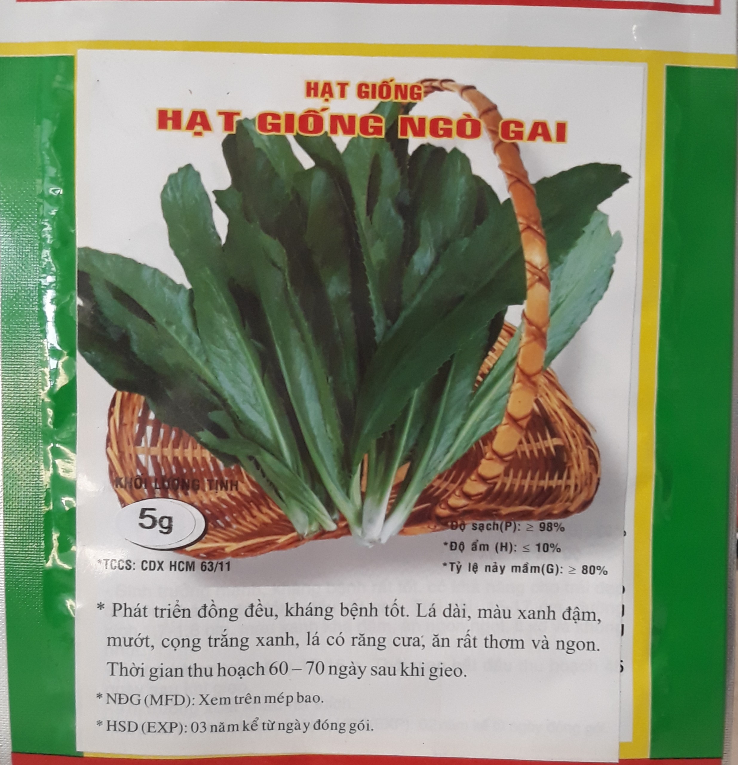 Hạt giống mùi tầu Hạt giống rau chất lượng