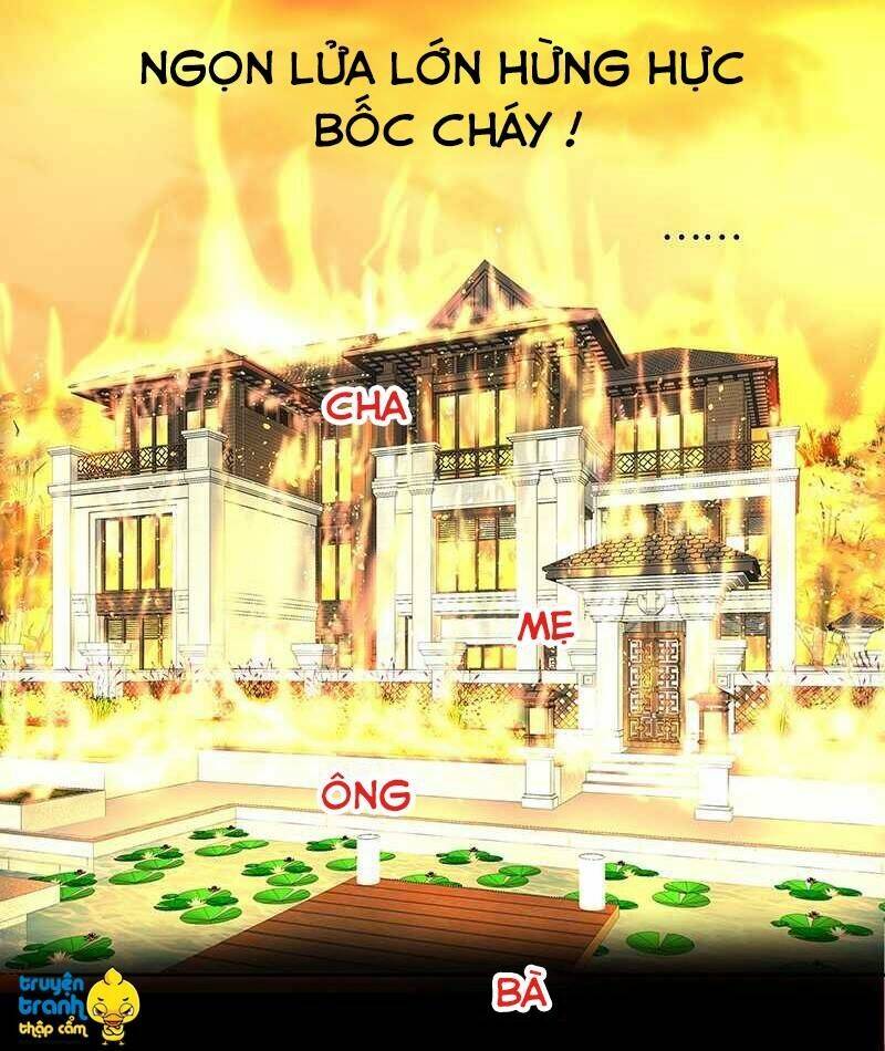 cường sủng hào môn tiểu manh thê chapter 51 15