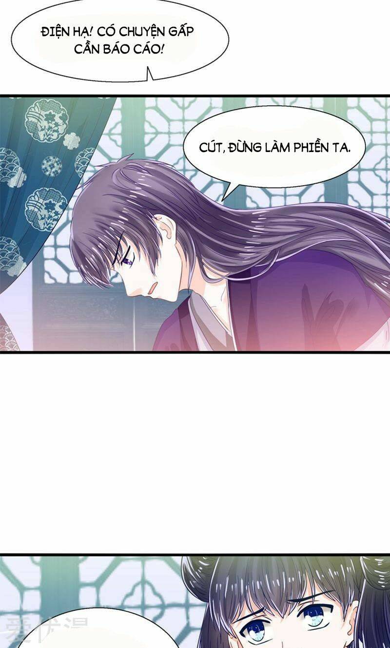 tôi bị gấu trúc nhìn trúng rồi chapter 26 14