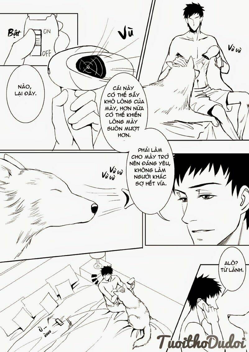 sự mê hoặc của sói chapter 15 8