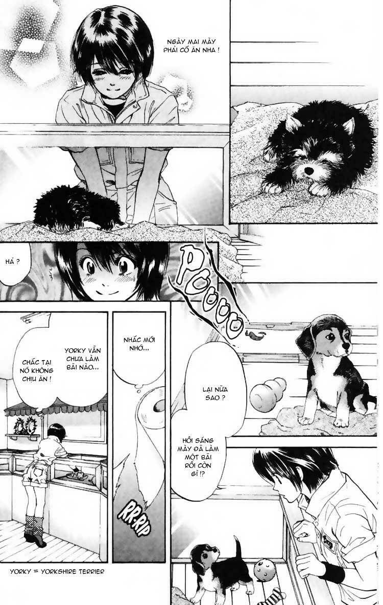 cô nàng yêu chó chapter 3 14