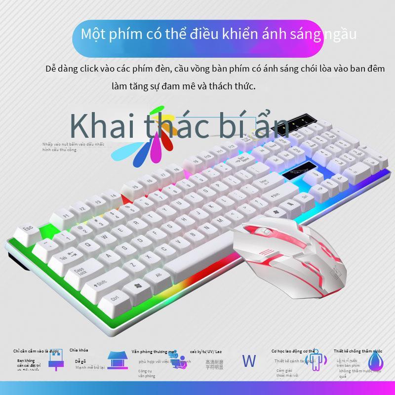 Khuyến mãi bộ bàn phím và chuột đuổi bắt ánh sáng da báo G21B bộ bàn phím và chuột có dây usb bộ thao tác có dây bộ bàn phím và chuột da tôm eBay