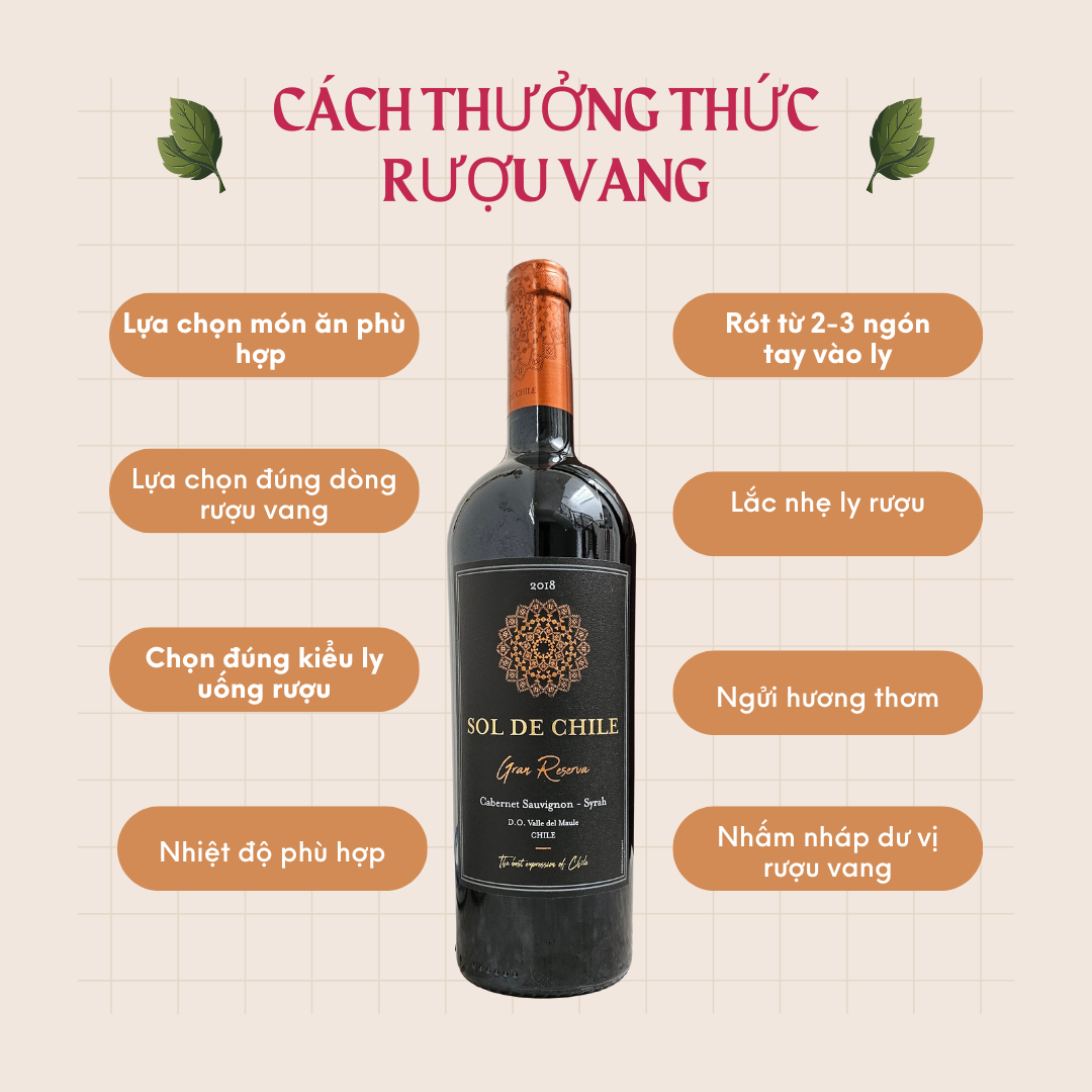 Rượu vang Sol de Chile Cabernet Sauvignon - Syrah Gran Reserva