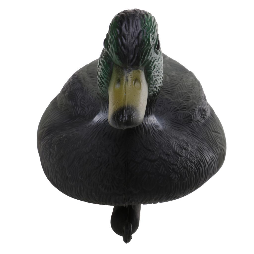 Fishing Hunting Male Decoy Duck Decoy Drake w/ Floating Keel - Green