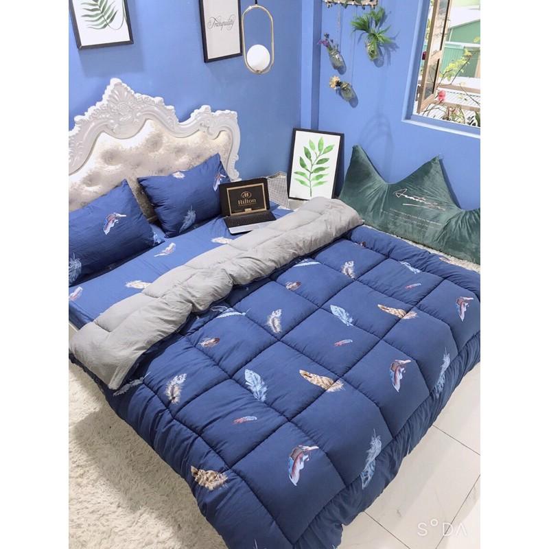 Bộ chăn ga gối phao đũi 4 món 1m6x2m tặng kèm vỏ gối ôm